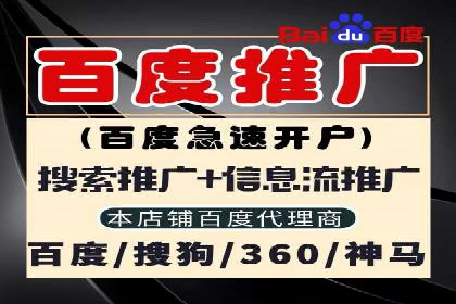探索百度SEM竞价推广的奥秘：某行业巨头的成功经验
